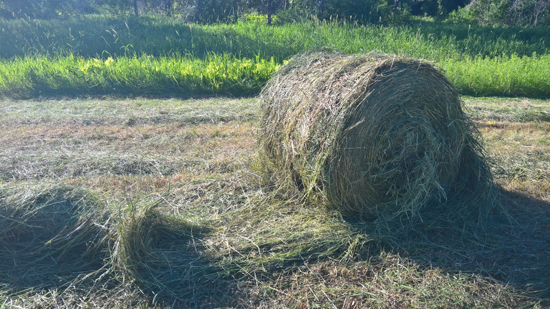 Damnit, that looks pretty good except for the complete lack of twine :p